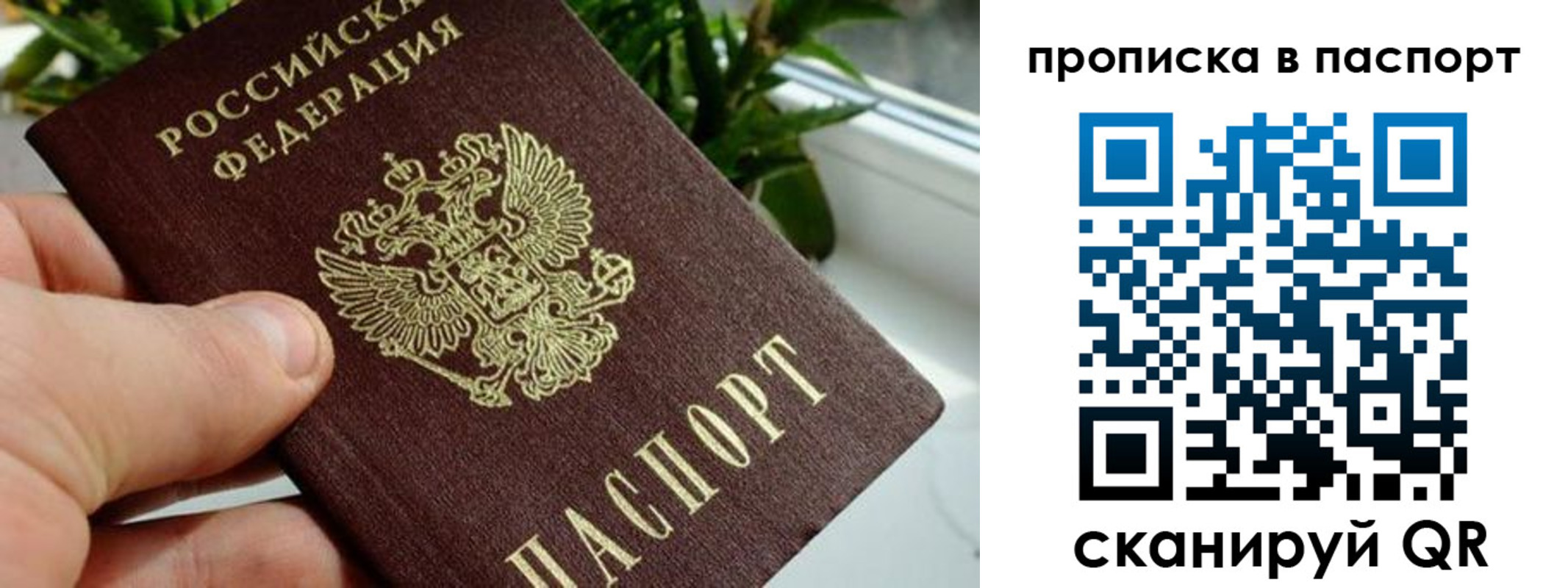 пропишу в квартире в Пущино